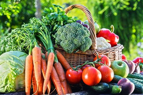 Variety Of Fresh Organic Vegetables And Fruits In The Garden — Stock