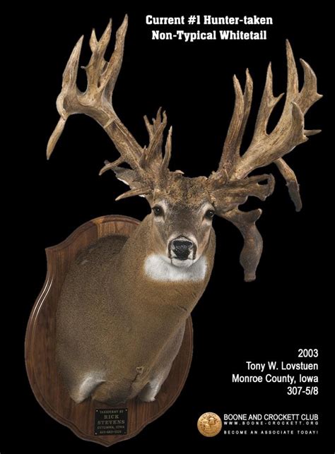Possible Record Largest Non Typical Whitetail Harvested In