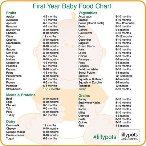 Ready to start making homemade stage 1 baby foods? Check out this wonderful food chart by @lilly_pots. You ...