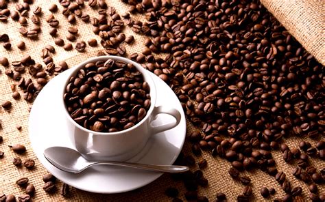 Fresh Roasted Coffee Beans 2880x1800 Download Hd Wallpaper