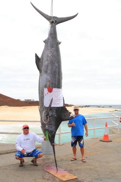 International Fishing News ASCENSION ISLAND Caught An Incredible
