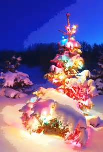 Snow Covered Christmas Tree In Snowstorm By Motionage On