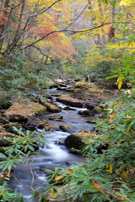 Small Stream In The Smoky Mountains Surrounded With Fall Colors Stock