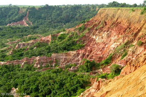 The democratic republic of the congo, often referred to as drc or congo, and formerly as zaire, is the second largest country by area on the african continent and the richest in mineral wealth. Does sustainable forest management actually protect forests?