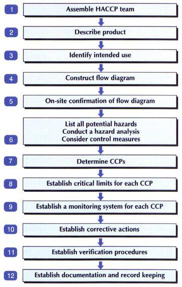 Haccp Example Haccp