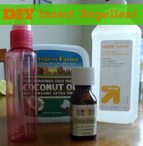 Natural insect repellent recipe directions: How to Make DIY Insect Repellent - Outnumbered 3 to 1