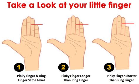 Personality Test Your Pinky Finger Length Reveals Your Hidden