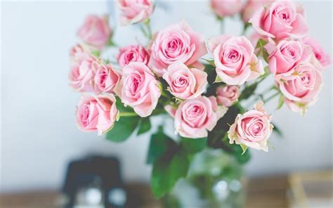 Download Wallpapers Rose Bouquet Pink Roses Beautiful Flowers Roses