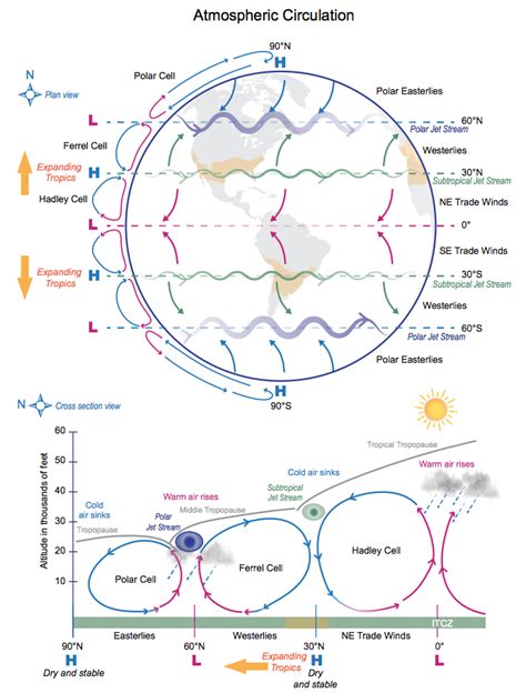 Infographic General Circulation Of The Atmosphere Climate Signals