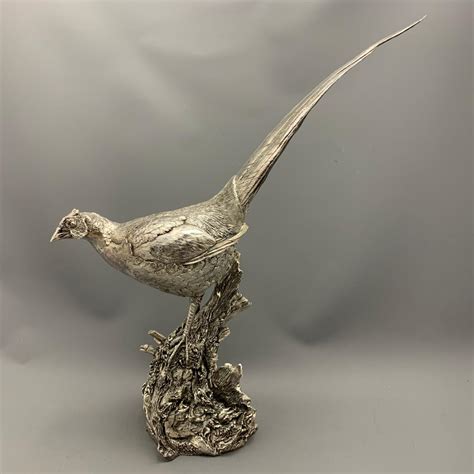 Silver Cock Pheasant Standing