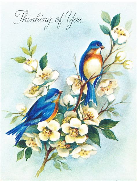 Collage Candy Bird Images From Vintage Greeting Cards Vintage Birds