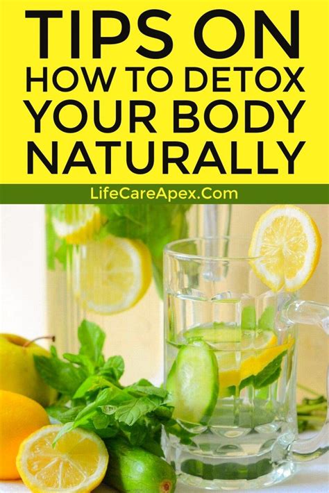 Tips On How To Detox Your Body Naturally How To Detox Your Body