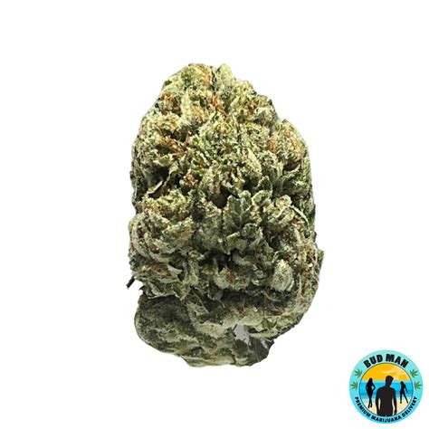 Gorilla Candy Bud Man Orange County Dispensary Delivery