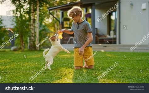 Cute Boy Plays His Favourite Dog Stock Photo 1853535685 Shutterstock