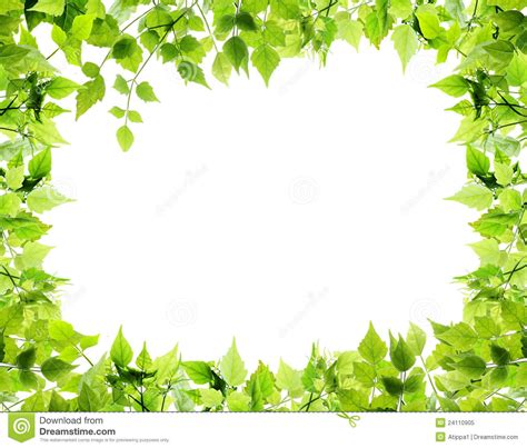 Nature Borders Clip Art 20 Free Cliparts Download Images On
