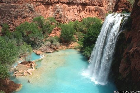 Havasu Falls Arizona Hikes Tours Facts And Information