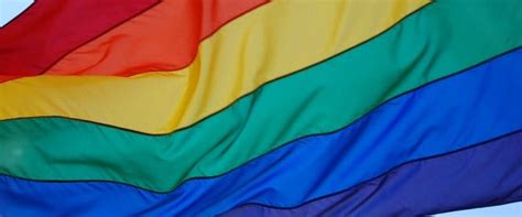 Jubilation As Australia Votes Yes To Same Sex Marriage Reaction