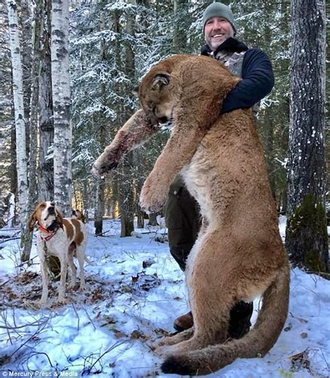 Grinning Canadian Tv Presenter Bags A Huge Mountain Lion Daily Mail