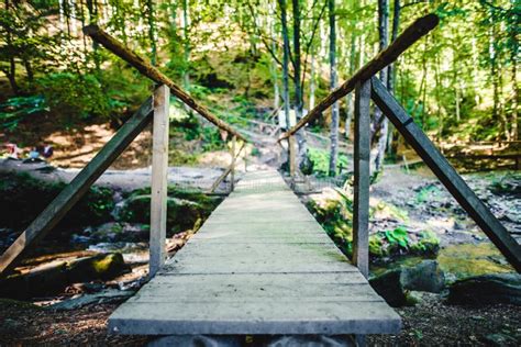 Wooden Bridge Over A Small River Stock Photo Image Of Forest Scene