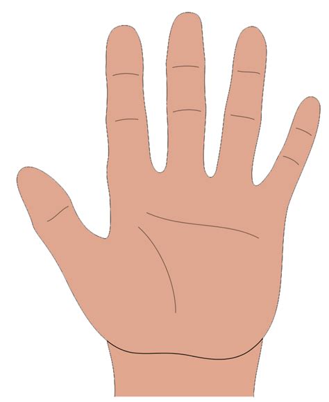 Clipart Hand Png Clip Art Library