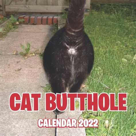 Cat Butthole Calendar Cats Buttholes Funny Calendar Months For Women Men