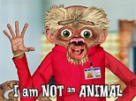 I Am Not an Animal (TV Series 2004) - Release info - IMDb
