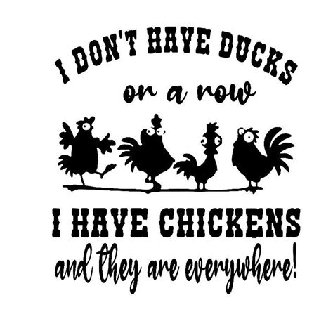 I Don T Have Ducks Or A Row I Have Chickens And They Are Etsy