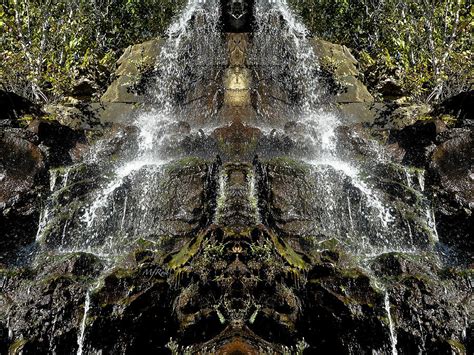 Waterfall Raccoon Face Photograph By Maureen Rose Fine Art America