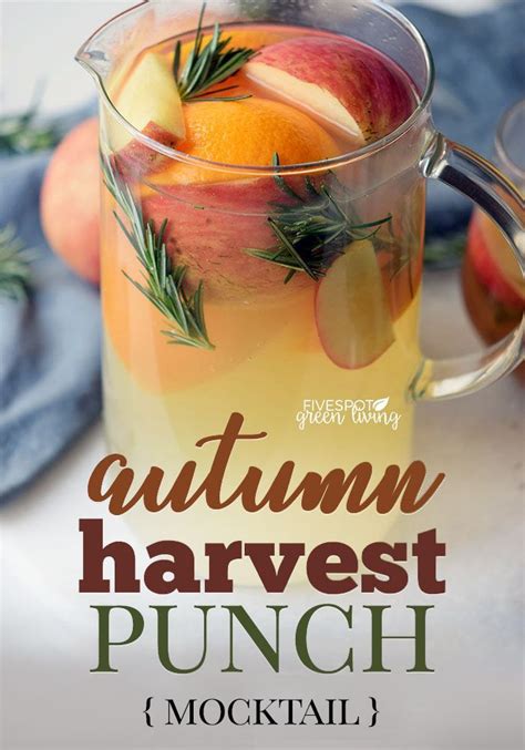 Autumn Harvest Thanksgiving Punch Mocktail Recipe Healthy Drinks