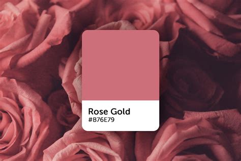 Rose Gold Hex Code Shades And Design Ideas Picsart Blog