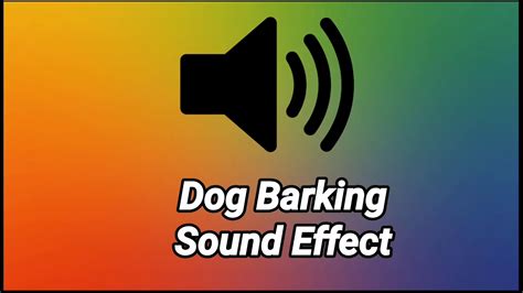 Dog Barking Sound Effect Youtube