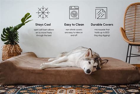 The Paws Itively Perfect 5 Reviewing The Best Dog Beds For Golden