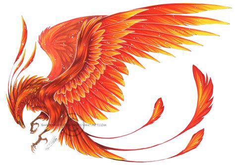Phoenix | Tattoo dragon and phoenix, Phoenix tattoo, Phoenix tattoo design