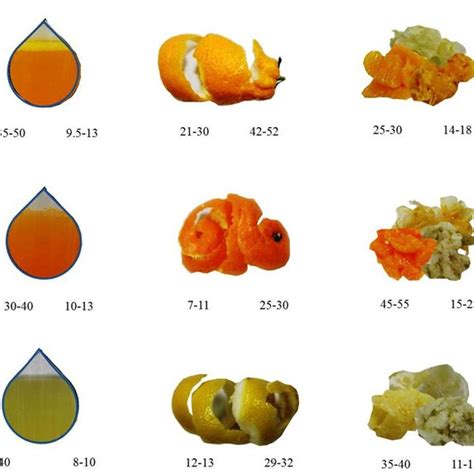 A The Composition Of Typical Citrus Waste Peel And Rag B The