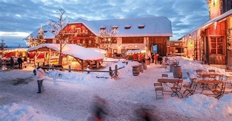 Juni 2021 in orf iii. „Advent auf Aiderbichl" im ORF 2