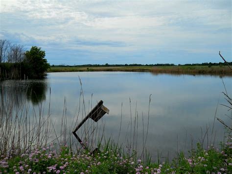 Goose Lake Prairie Illinois Photo Essay