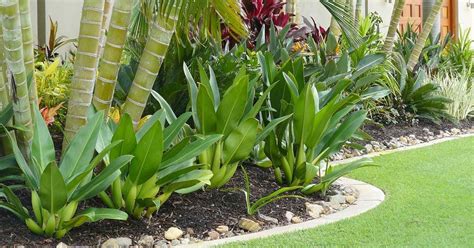 ‹ › home outside simplifies the process of landscaping your property. Tropical Landscaping Design - Create Your Own Getaway