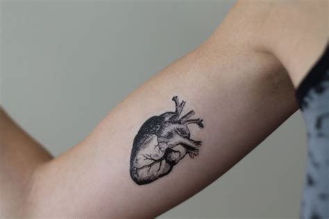Stunning Anatomical Simple Tattoos Anatomical Simple Tattoos Simple