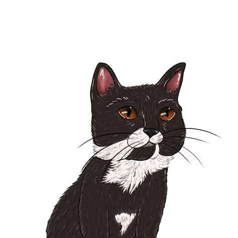 Digitally Draw Your Pet By Rubyaart Fiverr