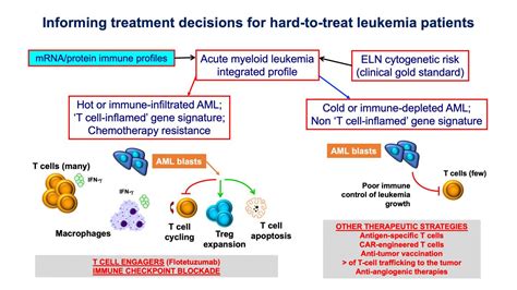 Leukemia Immune Profiles Predict Drug Resista Eurekalert