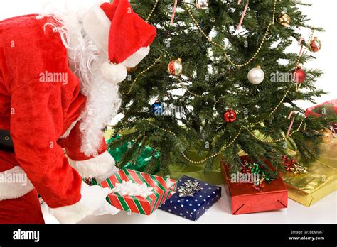 Santa Claus Putting Gifts Under The Christmas Tree White Background Stock Photo Alamy