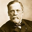 Louis Pasteur-His Life and Discoveries | hubpages