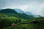 The Top 19 Things to Do in Darjeeling, India