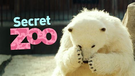 Secret Zoo 2020 Az Movies