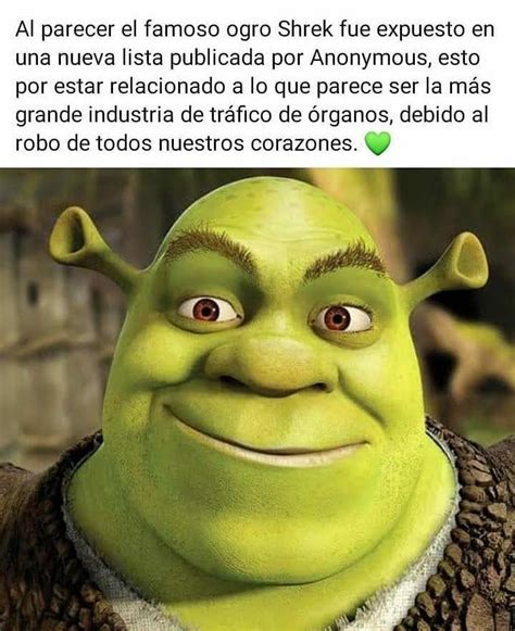 Cara De Shrek Meme Shrek Dankmemes Aesthetic Perfection Cringe