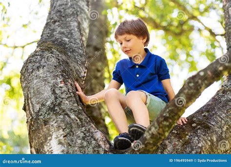 Happy Little Boy Climbing Tree At Park Stock Image Image Of Little