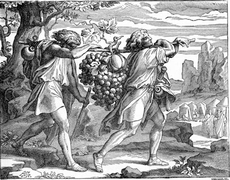 Garden Of Praise The Twelve Spies Bible Story