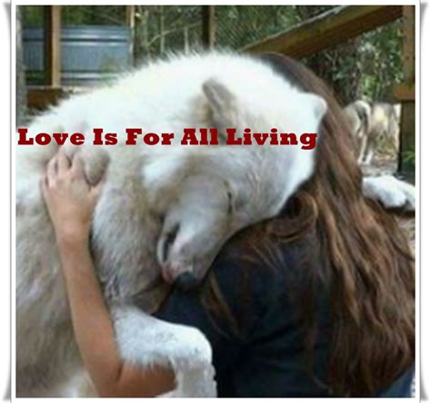 ×♥× Wolves Hidden Beauties ×♥× Love Is For All Living Things Surprise