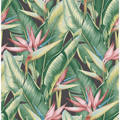 Palm Leaf Wallpapers 4k Hd Palm Leaf Backgrounds On Wallpaperbat