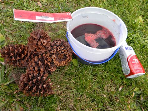 20 Dyeing Pine Cones With Red Food Coloring